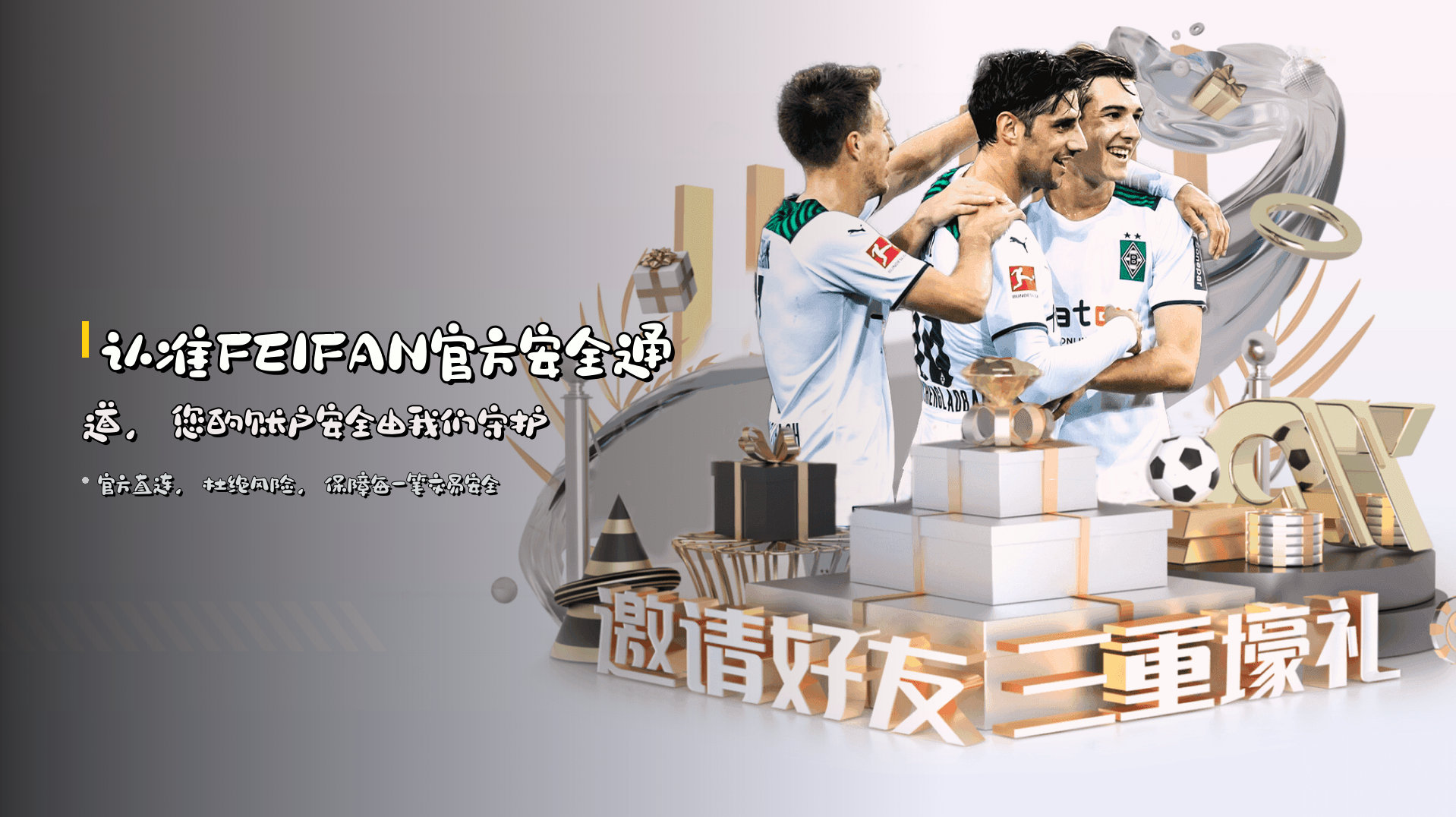 认准FEIFAN官方安全通道，您的账户安全由我们守护